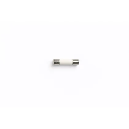 Bezpiecznik do kuchenki mikrofalowej Amica 10 A 250 V 1017220