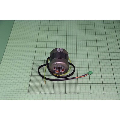 Silnik dmuchawy (1001695)