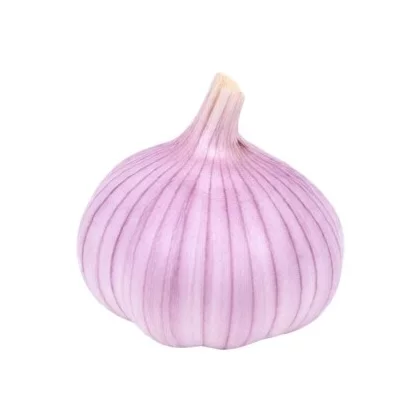 Pokrętło funkcji 9071928 do piekarnika Amica