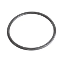 DFS 29030X 7618083945 Uszczelka O-Ring zbiornika soli do zmywarki Beko / Grundig / Arcelik 76 mm 1766470100