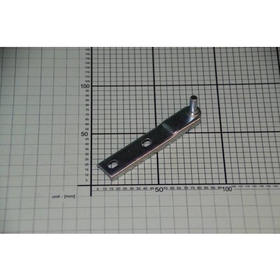 Zawias dolny (1020058)