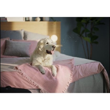 EFWBRZ3 BREEZE PARTICLE FILTER