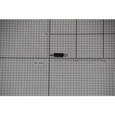 Sprężyna zamka drzwi (1018433)