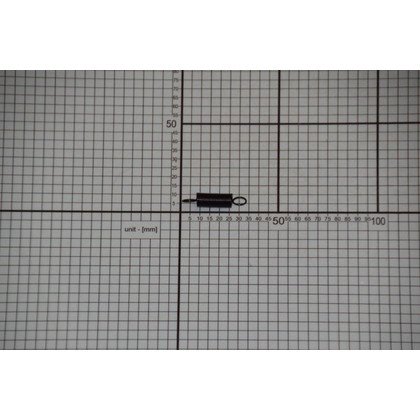 Sprężyna zamka drzwi (1018433)