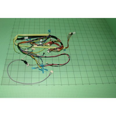 Główna wiązka przewodów