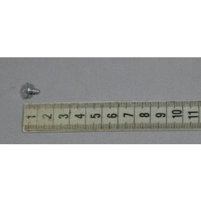 1996973 Śruba PT4x7 AMICA