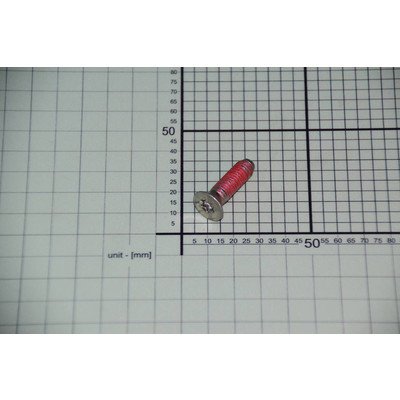 Śruba koła pasowego M8x30 torx (1031041)