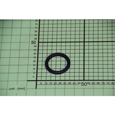 O-ring rezystora (1007553)
