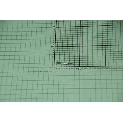 Wkręt montażowy do zmywarki Amica 4,2 x 32 1997947
