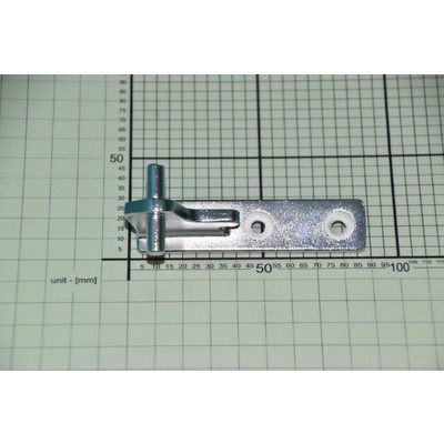 Zawias środkowy drzwi chłodziarko-zamrażarki (1037069)