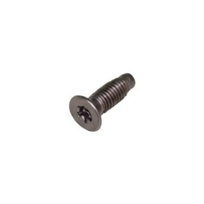 Śruba bębna samogwintująca 8x1,25 INOX TORX 8026117