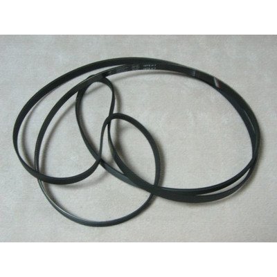 Pas 3L497 - 1262 mm (062-27)