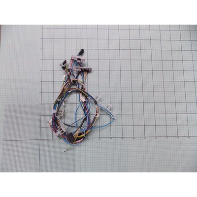 Zespół wiązki (1024101)