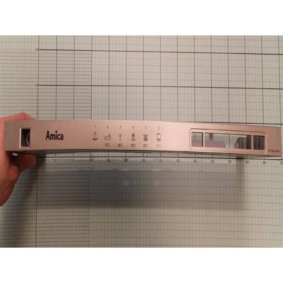 Zespół panelu (1009586)