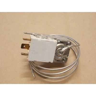 Termostat (1021966)