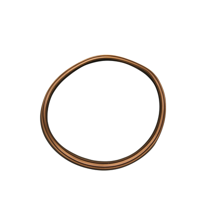 Uszczelka zbiornika Amica (1070053)