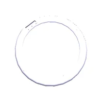 Wewnętrzne obramowanie drzwi do pralki Electrolux / AEG szare 1552301101