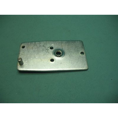 8037298 Zawias Dolny Lec Top Prawy AMICA