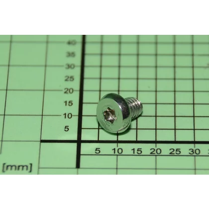 Śruba M6x8 do chłodziarko-zamrażarki Amica 1044051