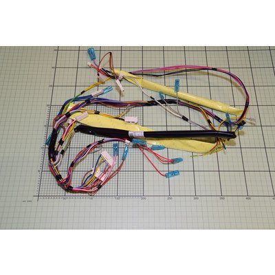 Wiązka przewodów zmywarki Amica (1041890)