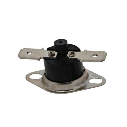 protektor, termiczny