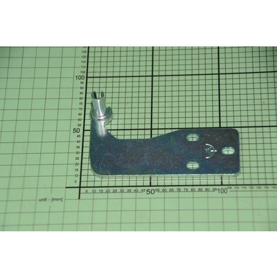 1046142 Zawias górny prawy AMICA