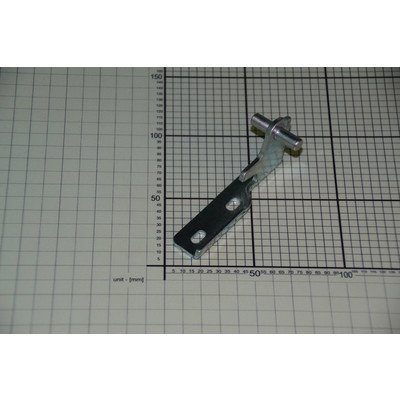 Zawias środkowy (1023420)