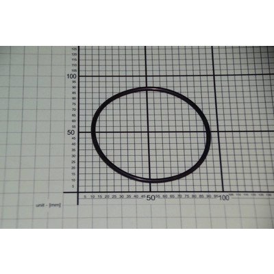 Uszczelka pompy (1031112)