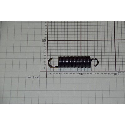 Sprężyna zawiasu P (1037703)