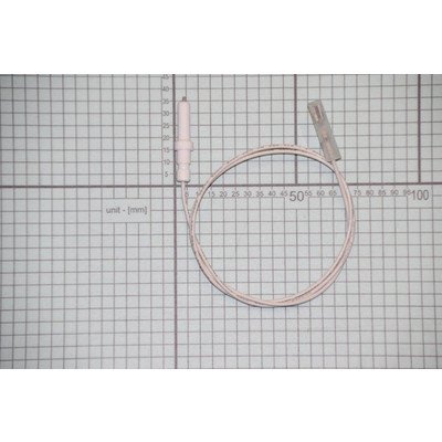 PG6411SRW PTCG4.1ZPZTCAW AMICA Iskrownik 4 (700 mm) (1031510)