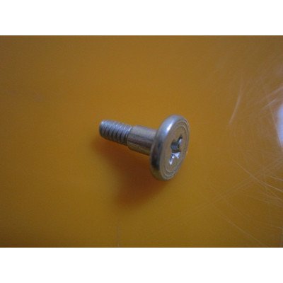 Śruba do lodówki Amica 1006291