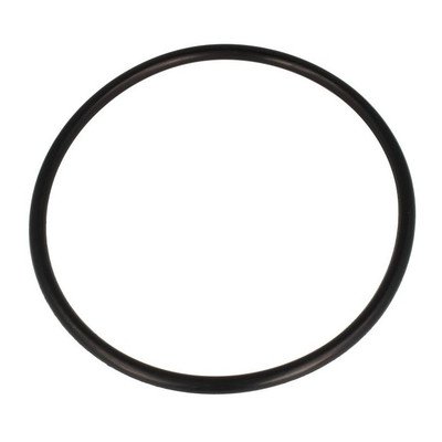 Uszczelka zbiornika 169x8 (1038969)