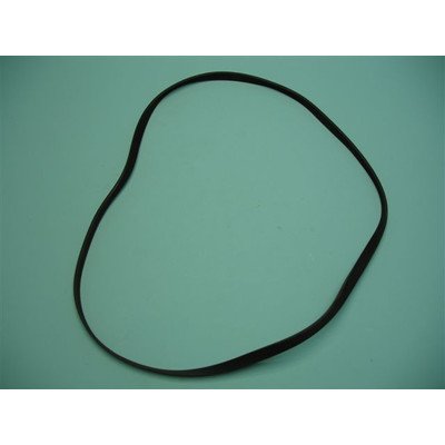 Pas napędowy (1004264)