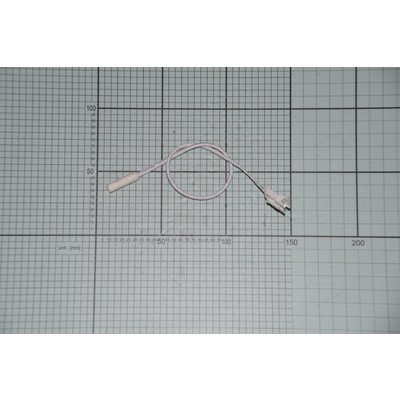 Czujnik temperatury (1033920)