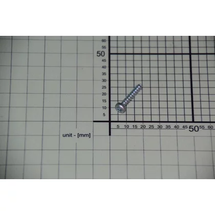 Śruba EGO do płyty indukcyjnej i kuchni Amica 0000.969.173 8042349