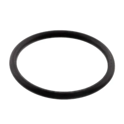 Uszczelka filtra pompy odpływowej do pralki Electrolux / AEG 50221747004