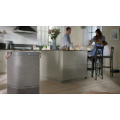 Filtr antysmogowy do oczyszczacza Pure A9 CLEAN360