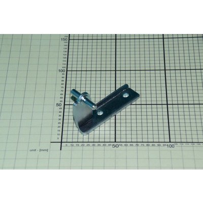 Zawias środkowy chłodziarko-zamrażarki Amica (1038232)