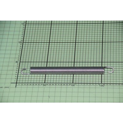 Sprężyna zawiasu (1009638)