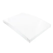 Drzwi zamrażarki do lodówki Electrolux / AEG białe 544 x 345 mm 2064583053