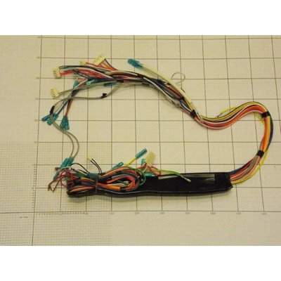 Wiązka przewodów (1017821)