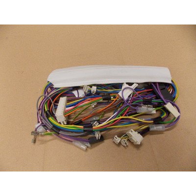 Wiązka przewodów (1009447)