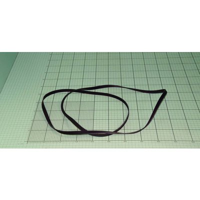 Pasek wieloklinowy (1040756)