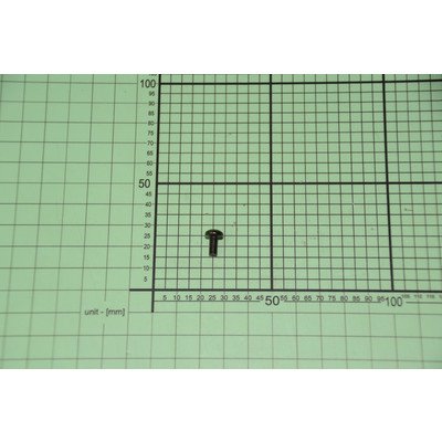 8024366 Wkręt M4x8 oc. czarny DIN ISO 7045 ząb AMICA
