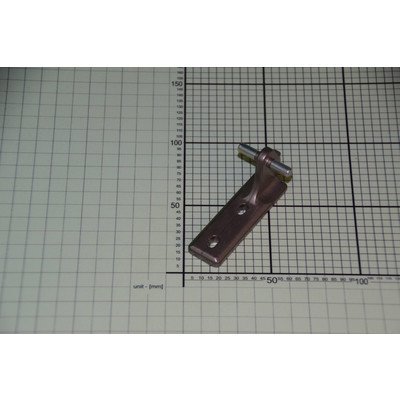 Zawias środkowy (1031480)