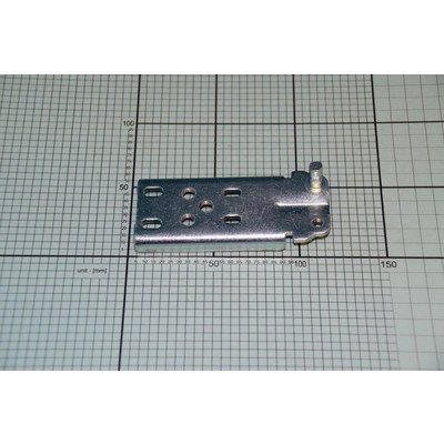 Zawias dolny (1036415)