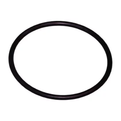 Uszczelka pompy do zmywarki Amica oring fi73x4