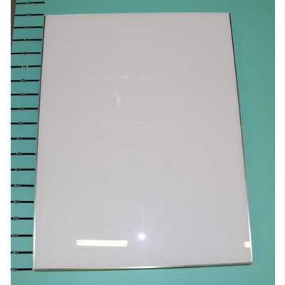 Drzwi zamrażarki do chłodziarko-zamrażarki Amica białe (1034708)