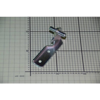 Zawias środkowy (1033096)