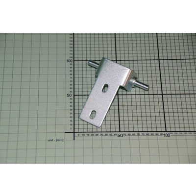 Zawias środkowy (1019747)